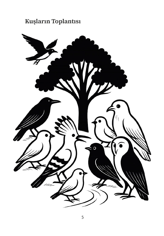 SİMURG – Otuz Kuşun Hikâyesi (Genç Okur / Ortaokul+) – Ferîdüddin Attâr